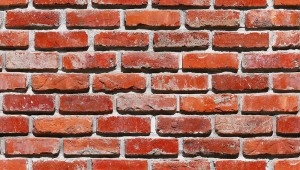 thumb (1)