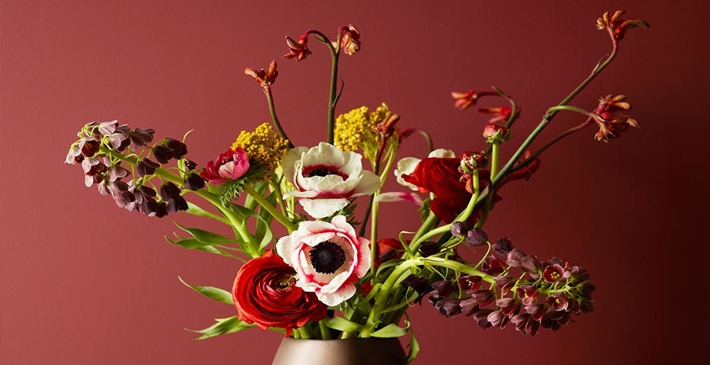 LADY_Pure_Color_2846_Bordeaux_Jotun_Maling_tcm39-3