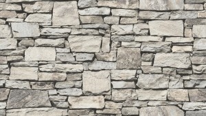 thumb (20)