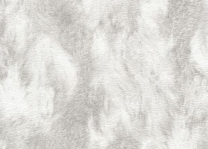 thumb (11)