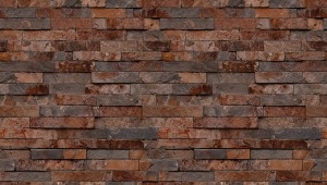 thumb (12)
