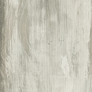 5029-ancient-oak_1707-91 copy